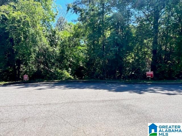 218 CHESTNUT FOREST CIRCLE, Helena, AL 35080