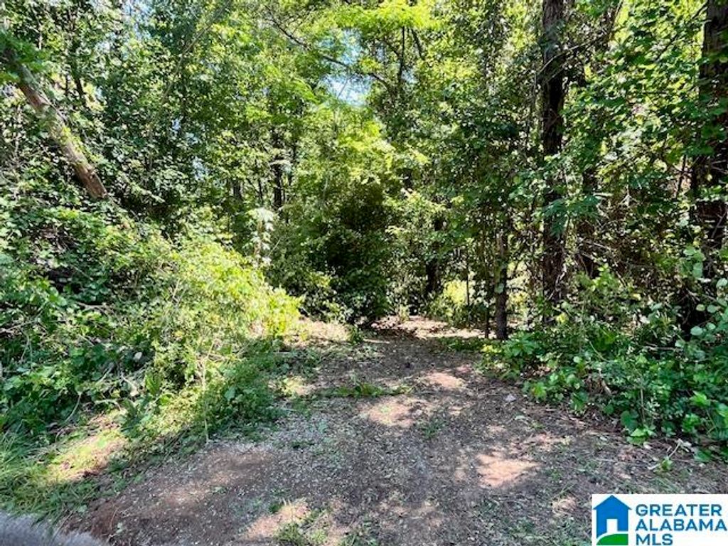 218 CHESTNUT FOREST CIRCLE, Helena, AL 35080