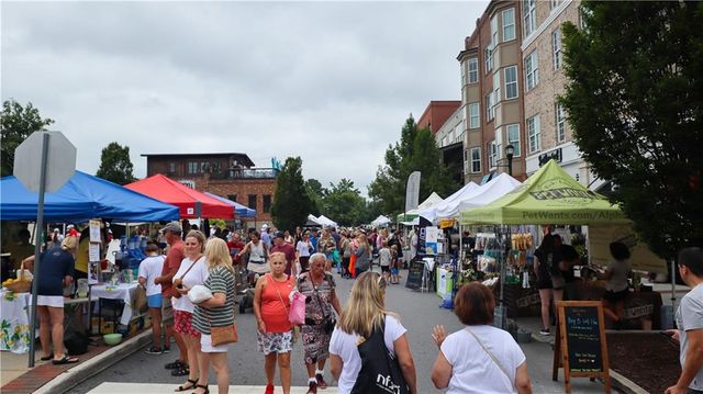 3125 Paley Drive, Alpharetta, GA 30009