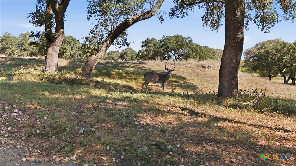 Image 32 of property listing at 421 Watts Lane B5, Canyon Lake, TX 78133