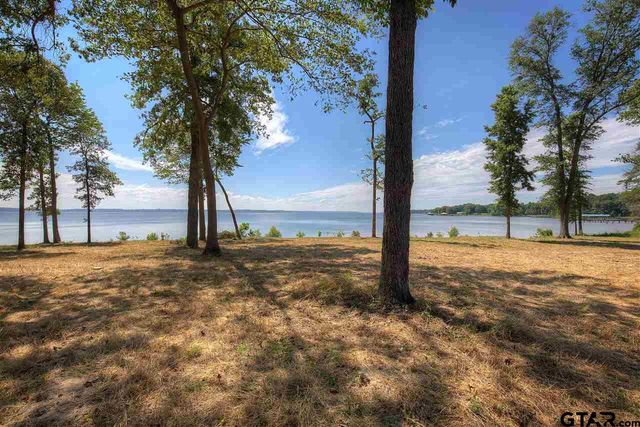 20635 Wycliff Dr., Chandler, TX 75758