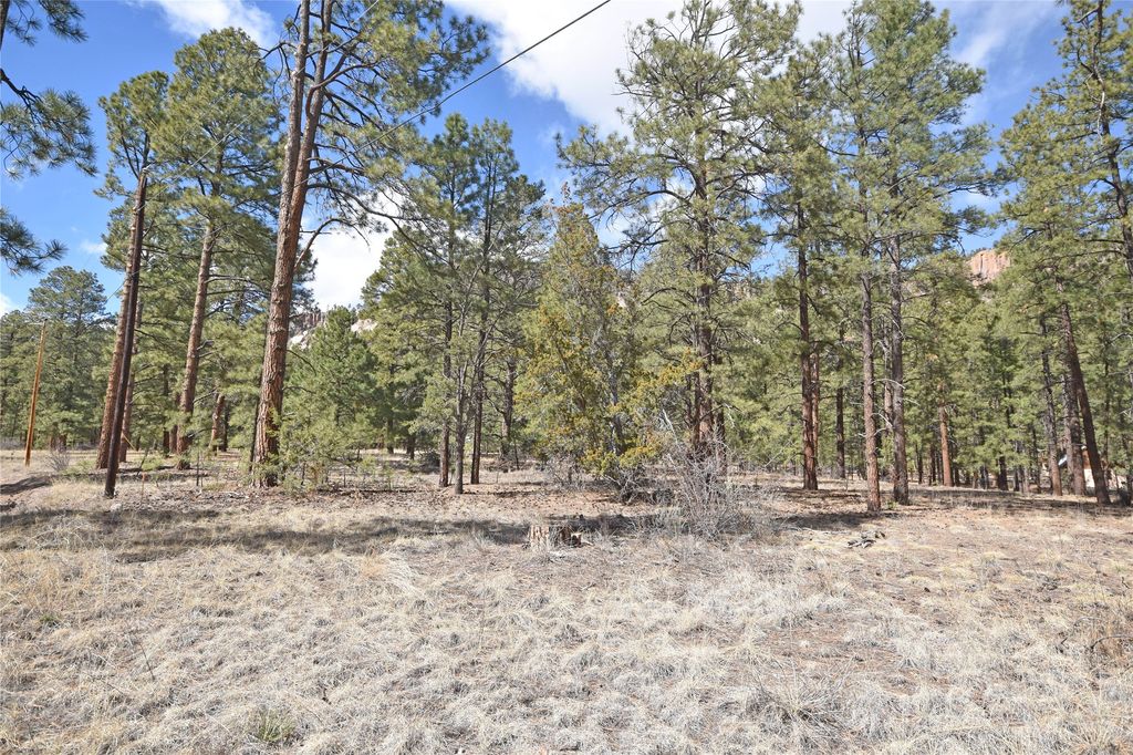 Image 1 of property listing at Lot 49A Cool Pines, Jemez Springs, NM 87025
