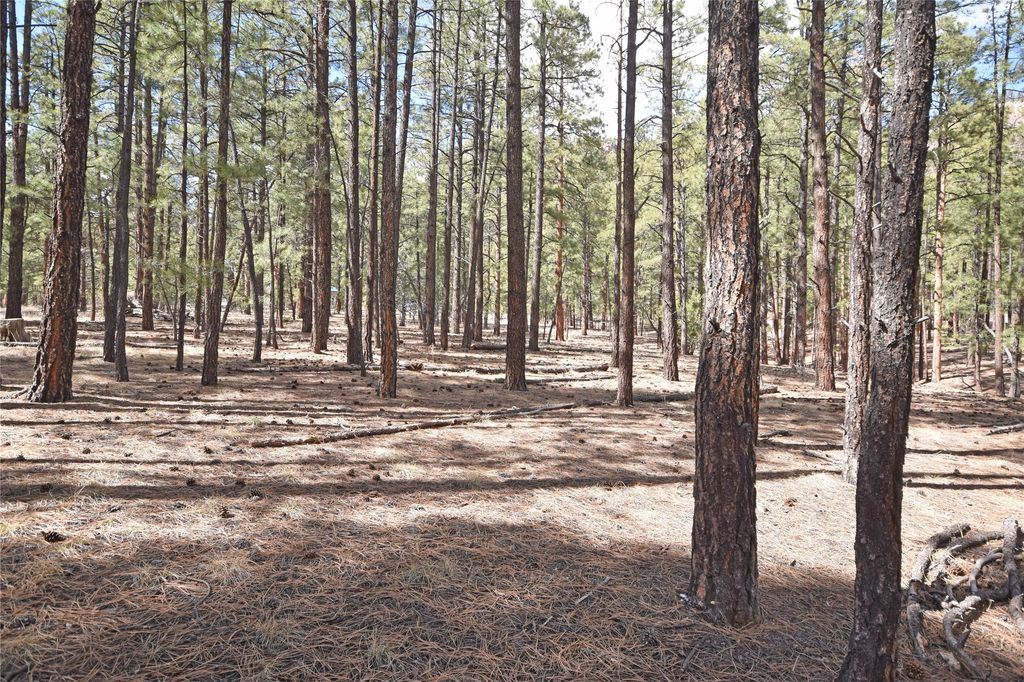 Image 11 of property listing at Lot 49A Cool Pines, Jemez Springs, NM 87025