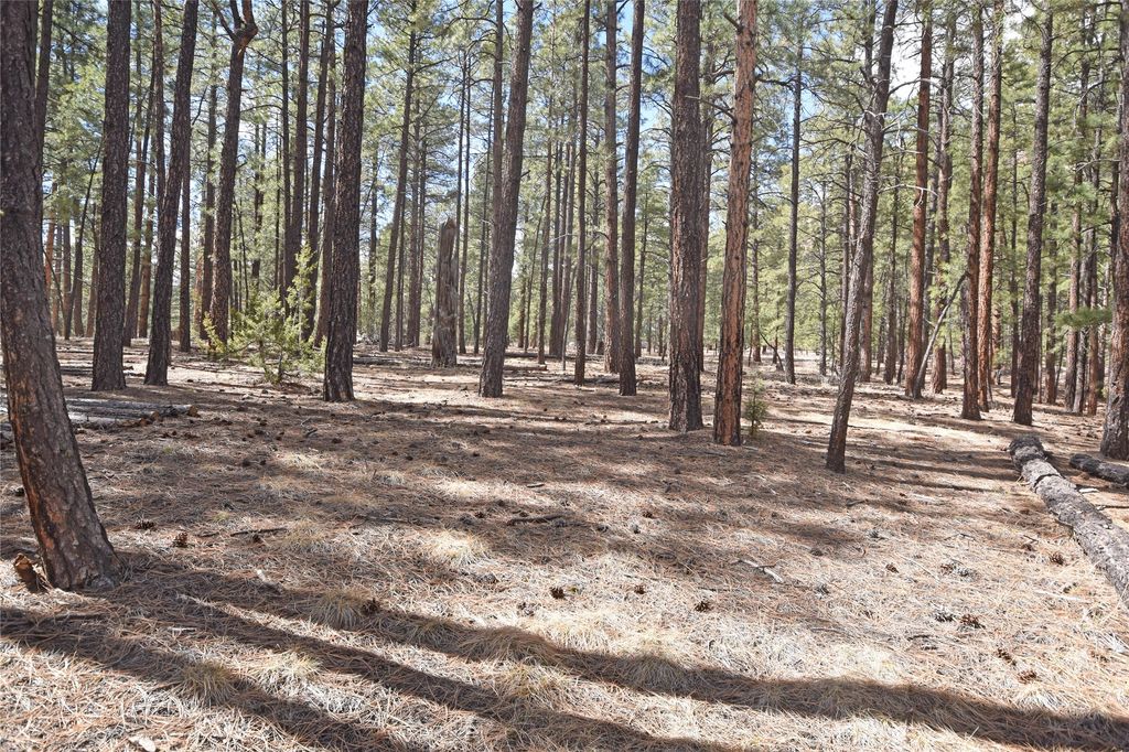 Image 16 of property listing at Lot 49A Cool Pines, Jemez Springs, NM 87025
