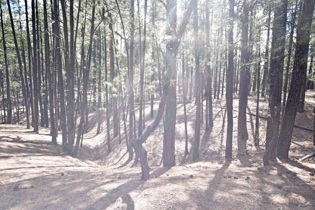 Image 17 of property listing at Lot 49A Cool Pines, Jemez Springs, NM 87025