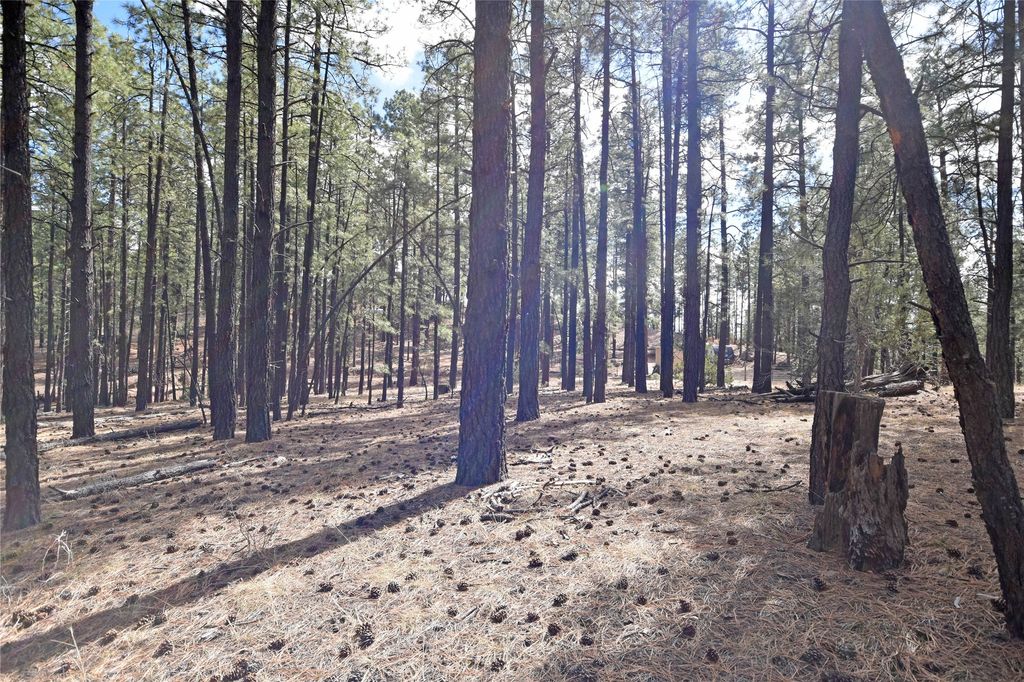 Image 2 of property listing at Lot 49A Cool Pines, Jemez Springs, NM 87025