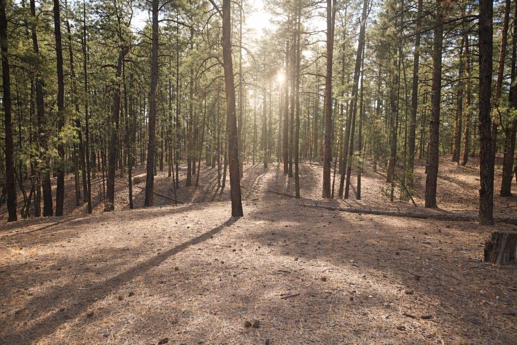 Image 3 of property listing at Lot 49A Cool Pines, Jemez Springs, NM 87025