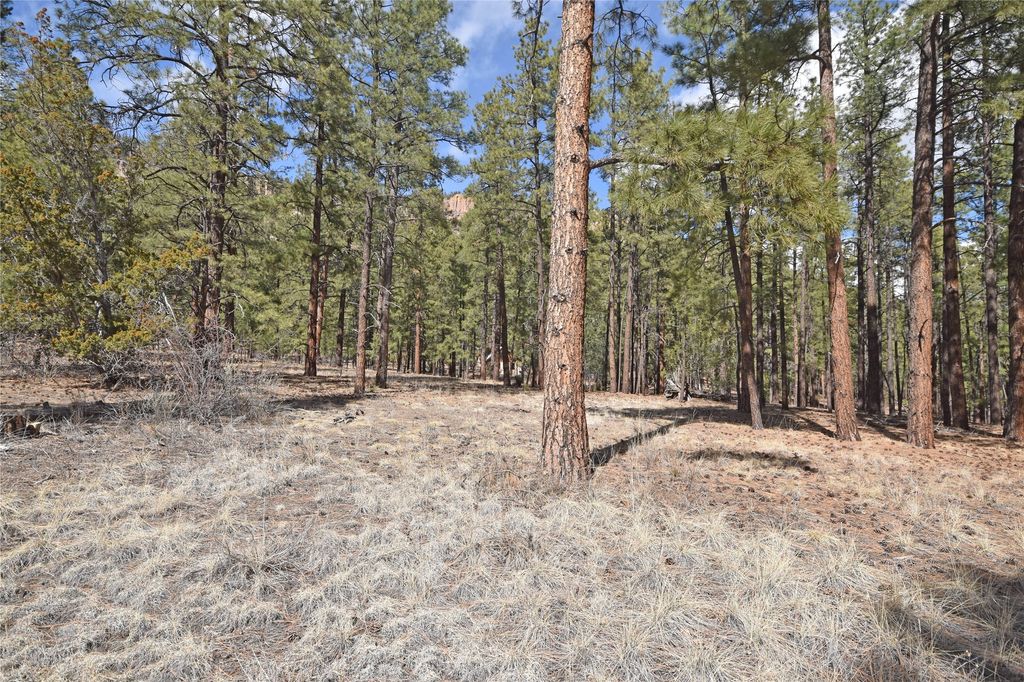 Image 4 of property listing at Lot 49A Cool Pines, Jemez Springs, NM 87025