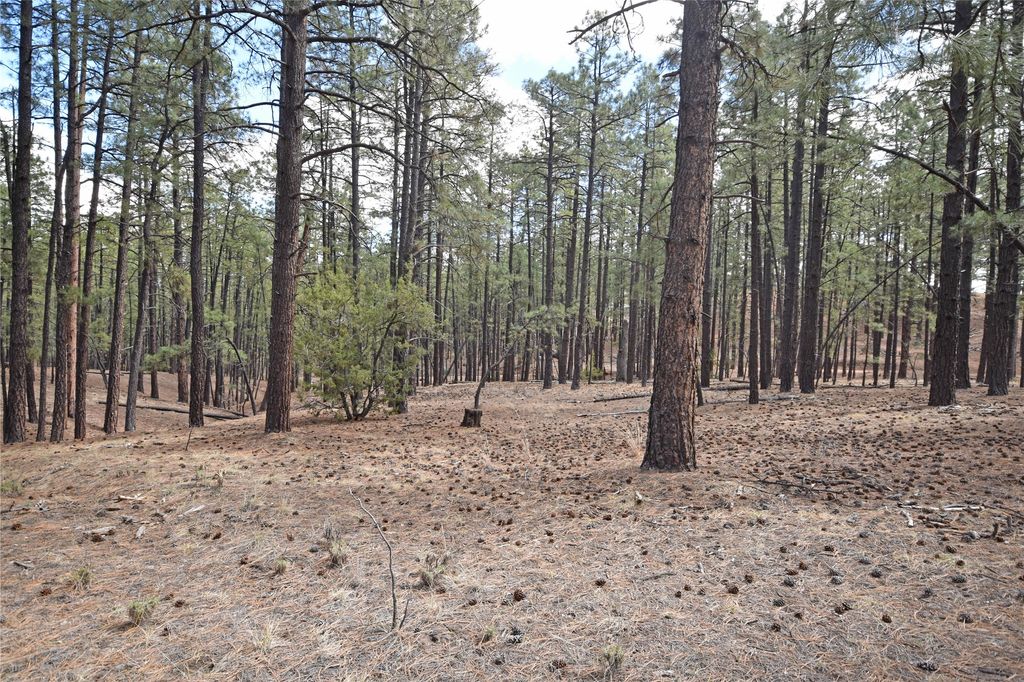 Image 5 of property listing at Lot 49A Cool Pines, Jemez Springs, NM 87025