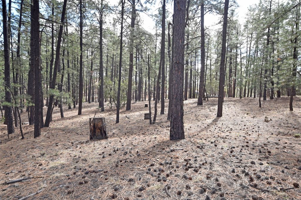 Image 6 of property listing at Lot 49A Cool Pines, Jemez Springs, NM 87025