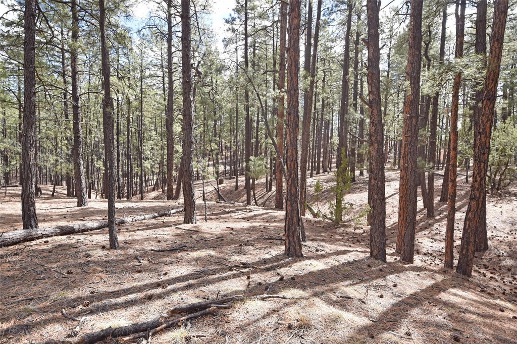 Image 8 of property listing at Lot 49A Cool Pines, Jemez Springs, NM 87025