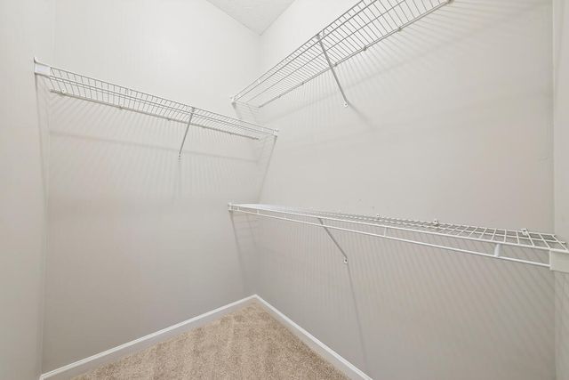 1008 Timber Creek Way, Columbus, GA 31904