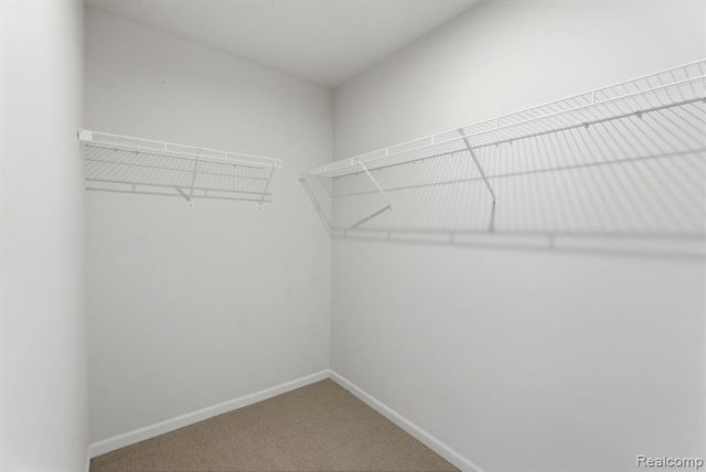 217 Sydney, Plymouth, MI 48170