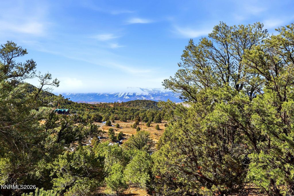 Image 22 of property listing at 480 Highland Road, Reno, NV 89521