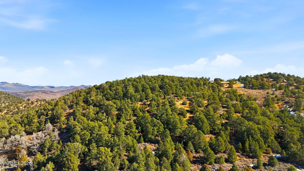 Image 25 of property listing at 480 Highland Road, Reno, NV 89521