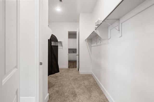 1203 Orange Pumpkin Lane, Richmond, TX 77406