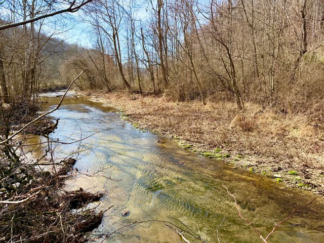 777 W Norwood-Mt Zion Road, Science Hill, KY 42553