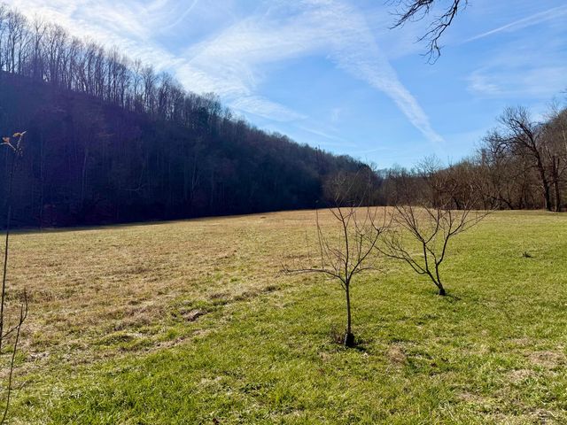 777 W Norwood-Mt Zion Road, Science Hill, KY 42553