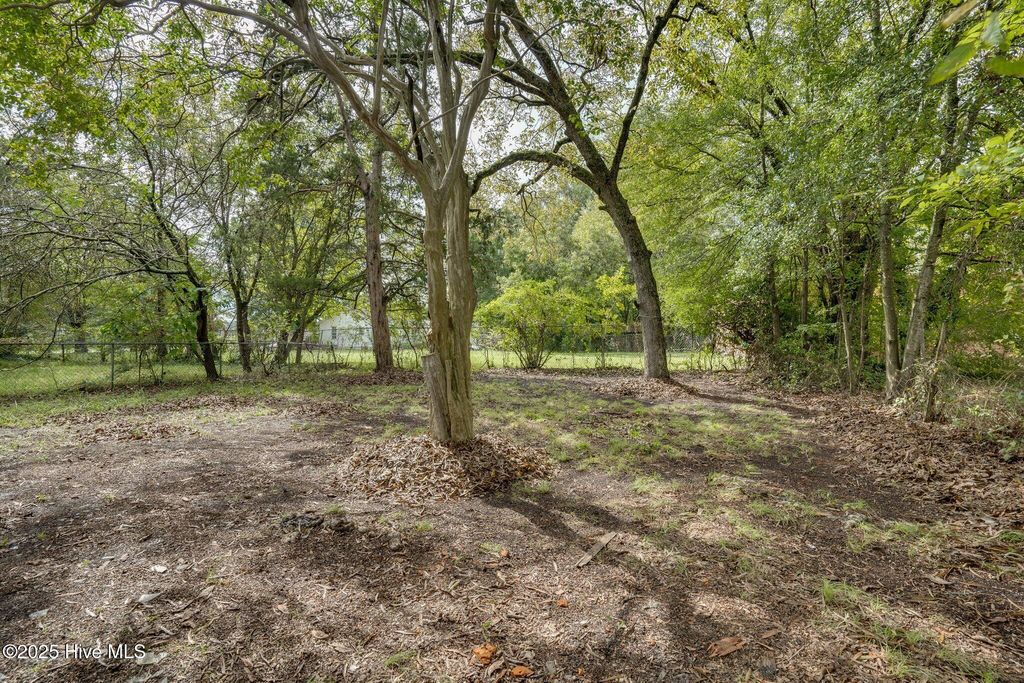 915 E Holly Street, Rocky Mount, NC 27801