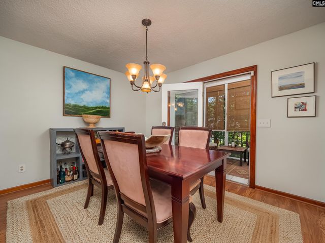 118 Old Sawmill Trail, Chapin, SC 29063