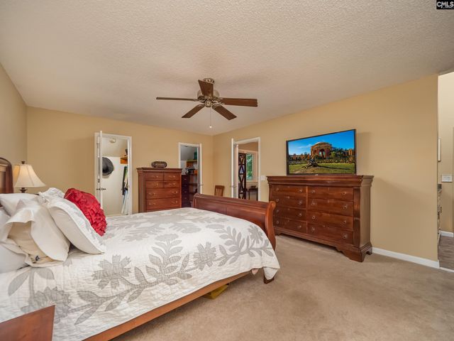 118 Old Sawmill Trail, Chapin, SC 29063