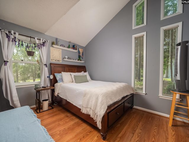 118 Old Sawmill Trail, Chapin, SC 29063