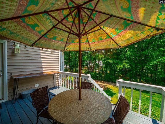 118 Old Sawmill Trail, Chapin, SC 29063