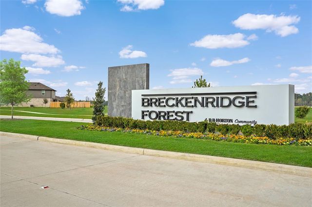 23914 Rambling Rose Court, Spring, TX 77373