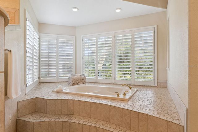 10442 BIRCH TREE LANE, Windermere, FL 34786