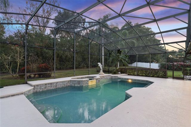 10442 BIRCH TREE LANE, Windermere, FL 34786