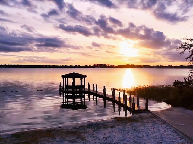 10442 BIRCH TREE LANE, Windermere, FL 34786