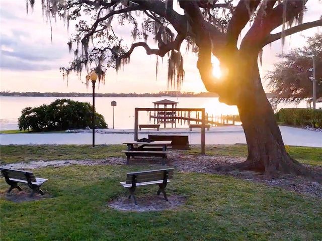 10442 BIRCH TREE LANE, Windermere, FL 34786