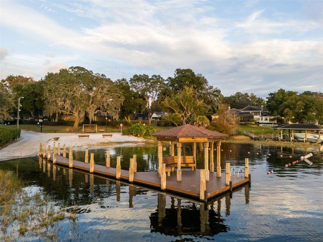 10442 BIRCH TREE LANE, Windermere, FL 34786