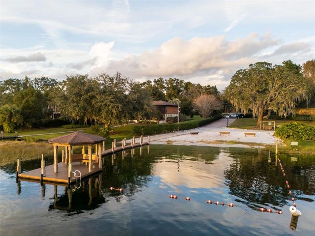 10442 BIRCH TREE LANE, Windermere, FL 34786