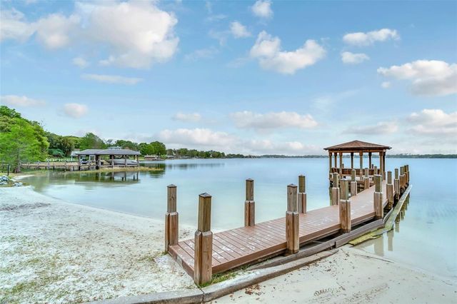 10442 BIRCH TREE LANE, Windermere, FL 34786