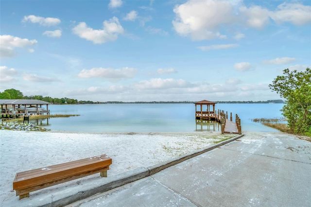 10442 BIRCH TREE LANE, Windermere, FL 34786