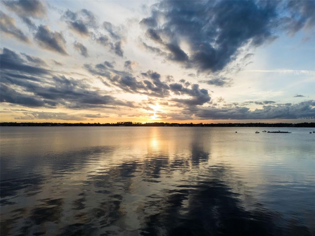 Image 46 of property listing at 10442 BIRCH TREE LANE, Windermere, FL 34786