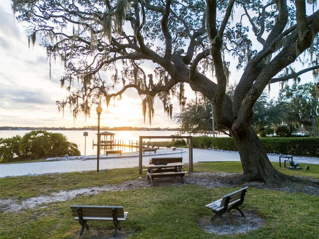 Image 51 of property listing at 10442 BIRCH TREE LANE, Windermere, FL 34786