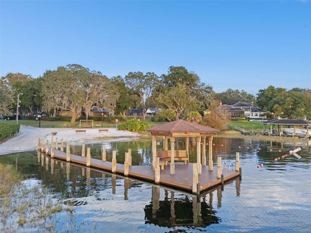 Image 55 of property listing at 10442 BIRCH TREE LANE, Windermere, FL 34786