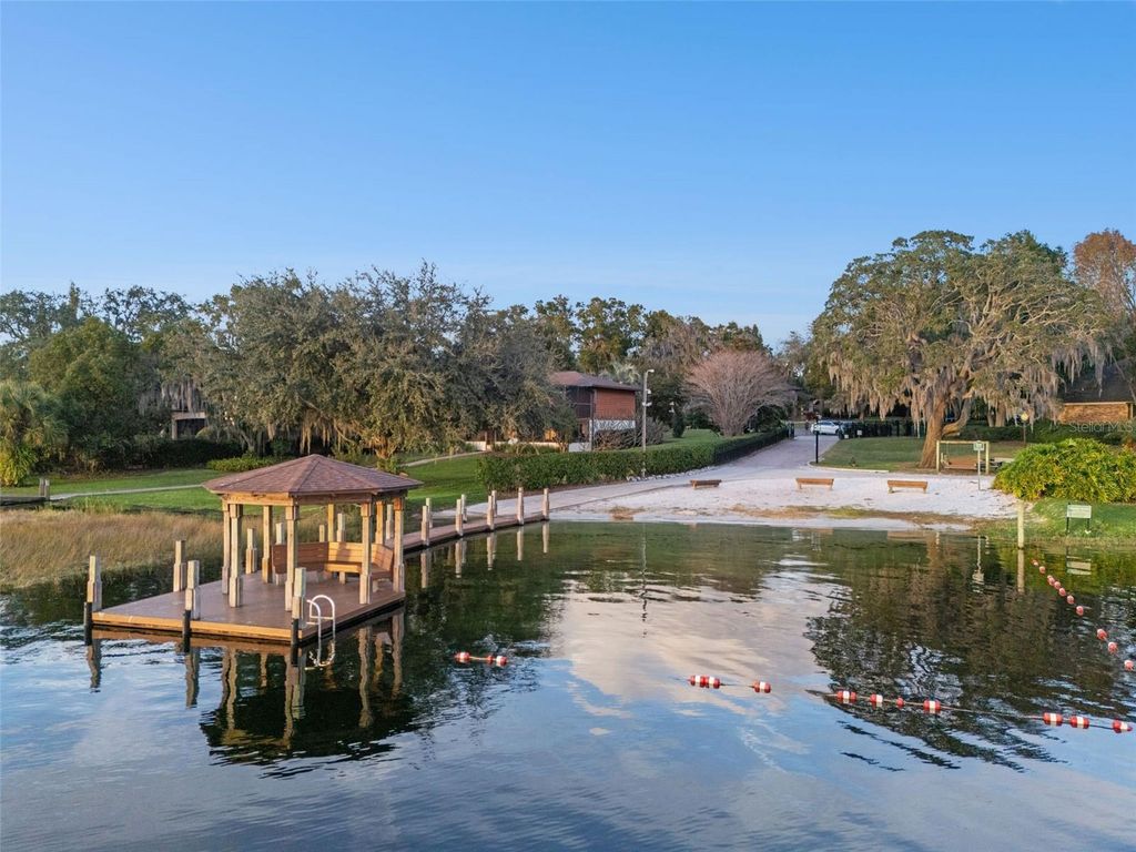 Image 56 of property listing at 10442 BIRCH TREE LANE, Windermere, FL 34786