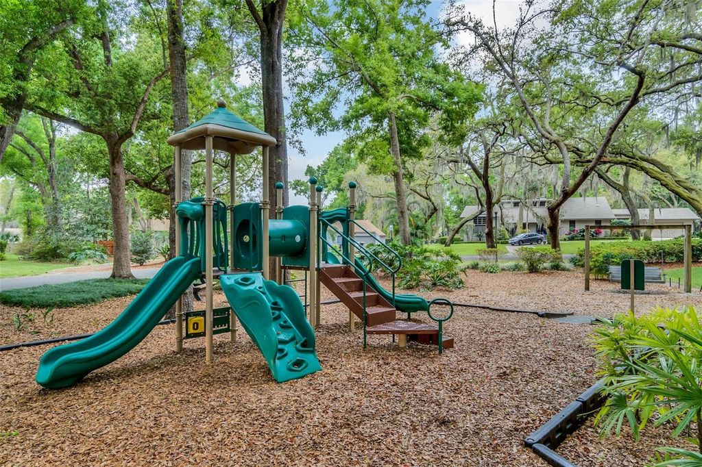 Image 59 of property listing at 10442 BIRCH TREE LANE, Windermere, FL 34786