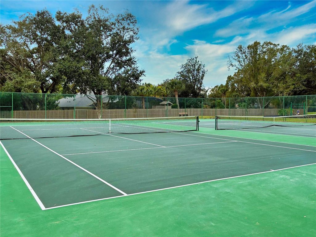 Image 62 of property listing at 10442 BIRCH TREE LANE, Windermere, FL 34786