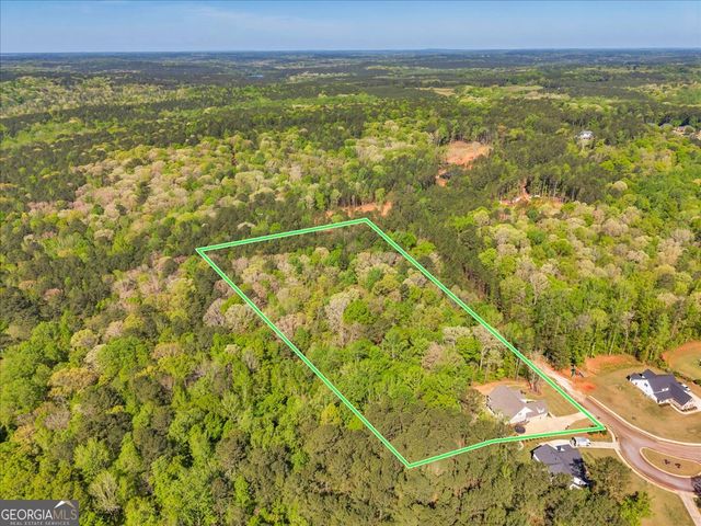 126 Mallie Drive, Forsyth, GA 31029