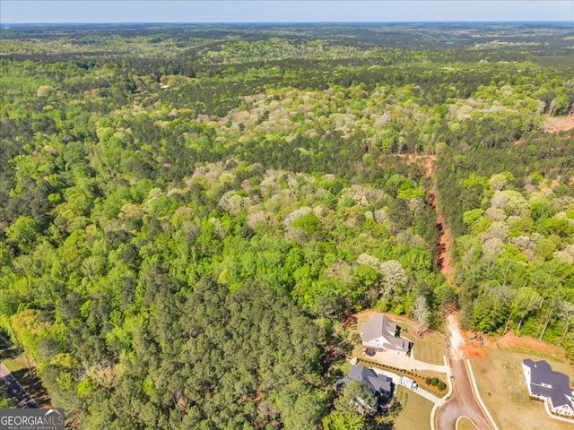 126 Mallie Drive, Forsyth, GA 31029