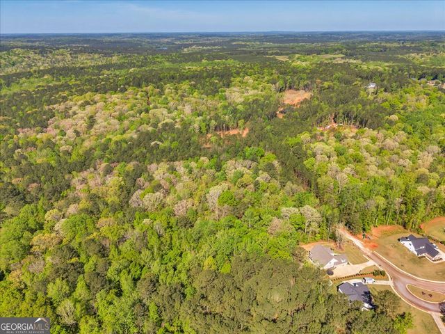 126 Mallie Drive, Forsyth, GA 31029