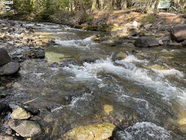 64624 W FORK Ln, Joseph, OR 97846