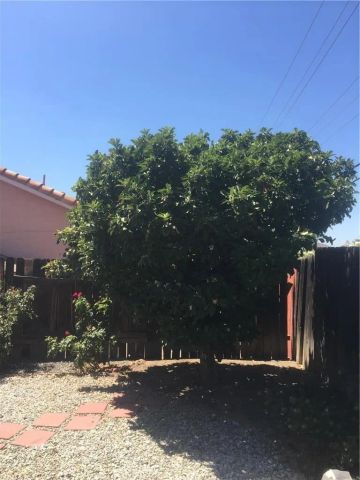 26562 Braddock Road, Menifee, CA 92586