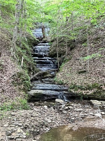 4625 Brook Highland Rdg, Tuscaloosa, AL 35406