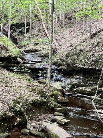 4625 Brook Highland Rdg, Tuscaloosa, AL 35406