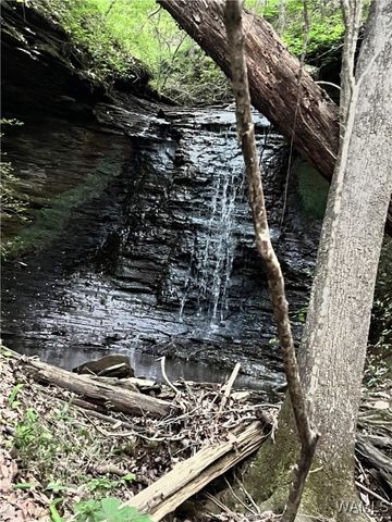 4625 Brook Highland Rdg, Tuscaloosa, AL 35406